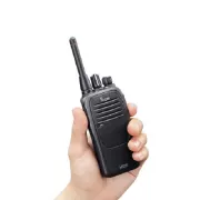 ICOM ICF 29 DR Elde